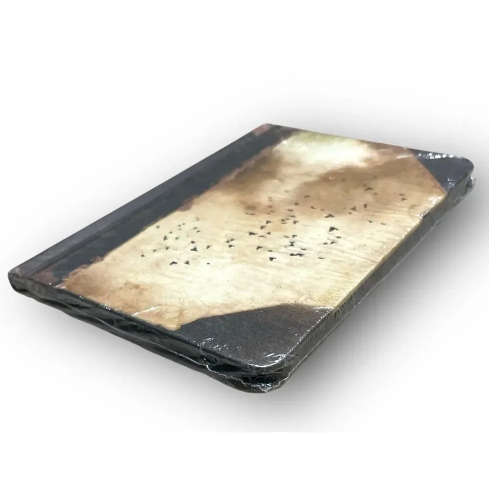 Jon Thor Birgisson & Alex Somers: Riceboy Sleeps. Arrwork by Jonsi of‎ Sigur Ros